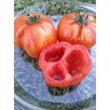 Редкие сорта томатов  ПОЛОСАТАЯ ПЕЩЕРА (КВАДРАТНЫЙ ПОЛОСАТЫЙ)   